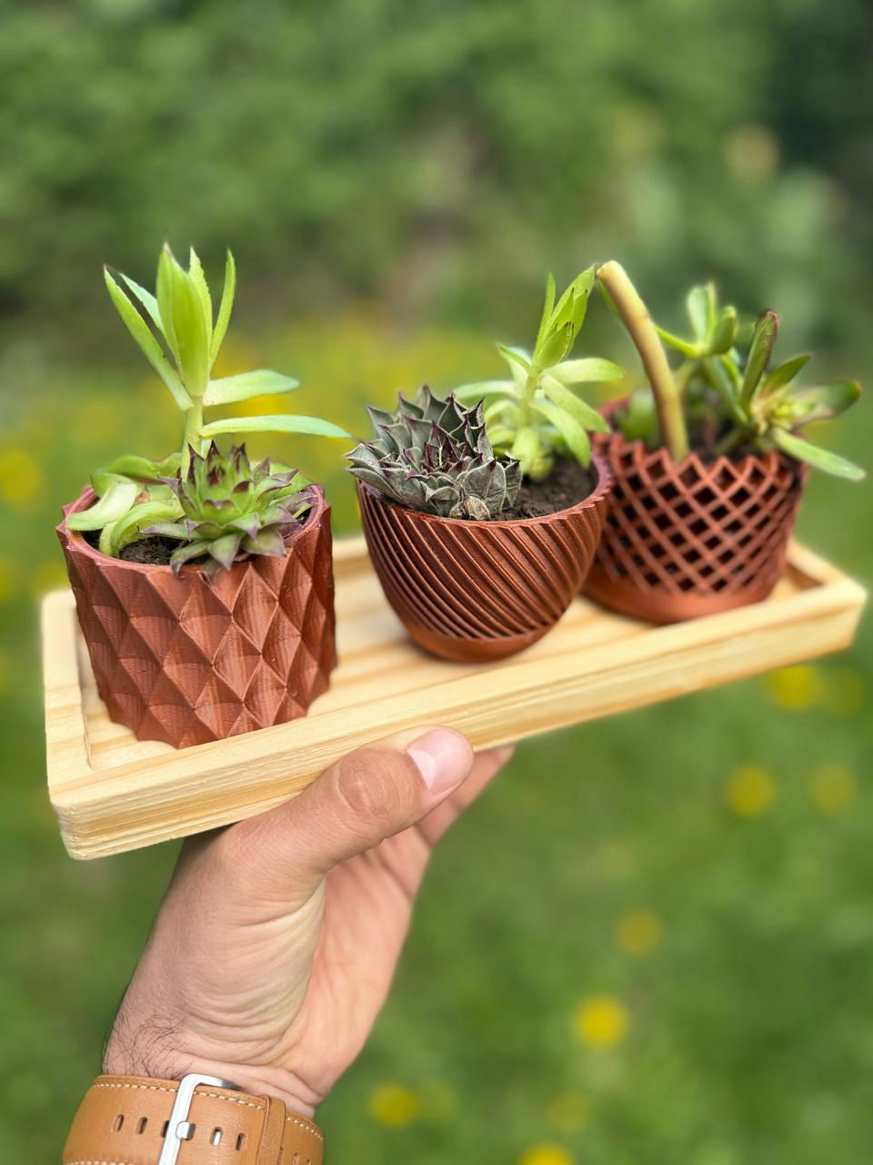 Producto destacado de CHIME